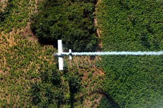 An airplane sprays coca fields with glyphosate in the Catatumbo region of Colombia. Glyphosate is now suspendedRaul Arboleda/AFP/Getty Images